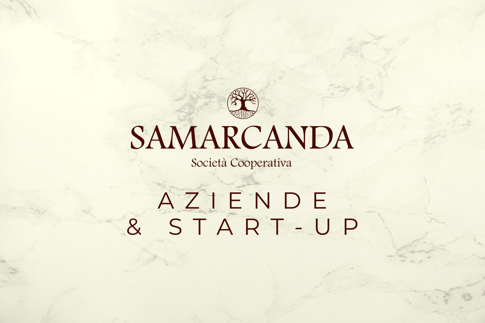 Riquadro Aziende & Start-up della pagina servizi Samarcanda Società Cooperativa